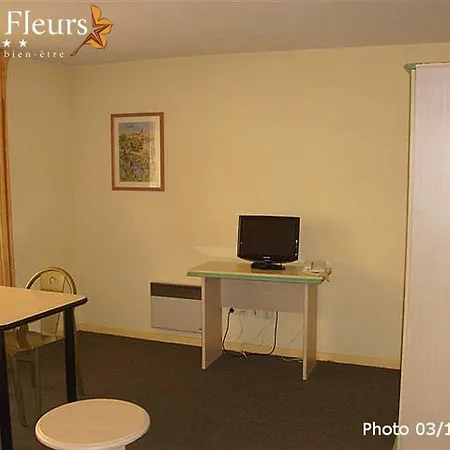 Fleurs Nice